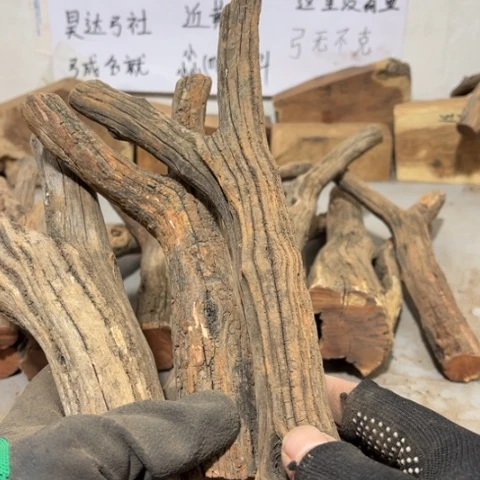 大果紫檀（缅甸花梨）向****赚