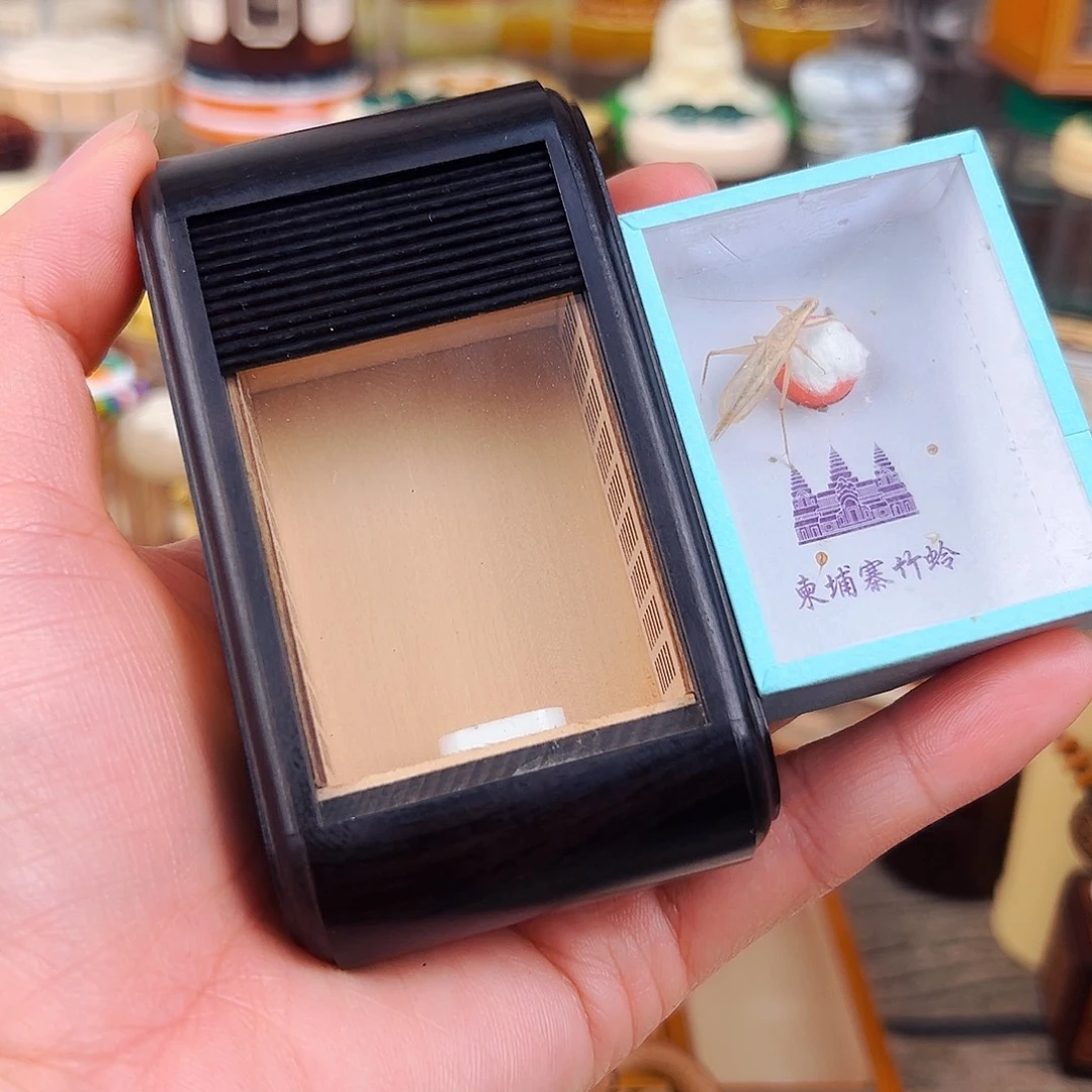 张圣林卷帘门竹林金钟盒配竹蛉