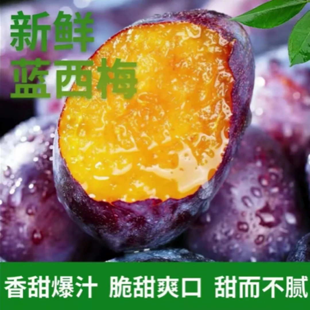 【放软后吃】新鲜现摘西梅香甜多汁当季水果放软更好吃产地直发