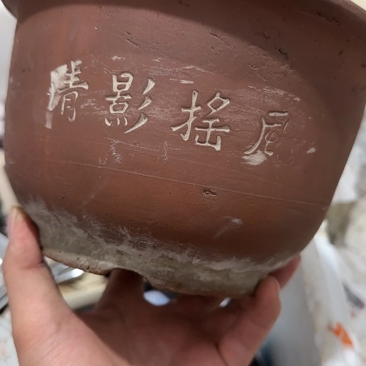 童***鲁扇子vhghvbbbbbbbbb