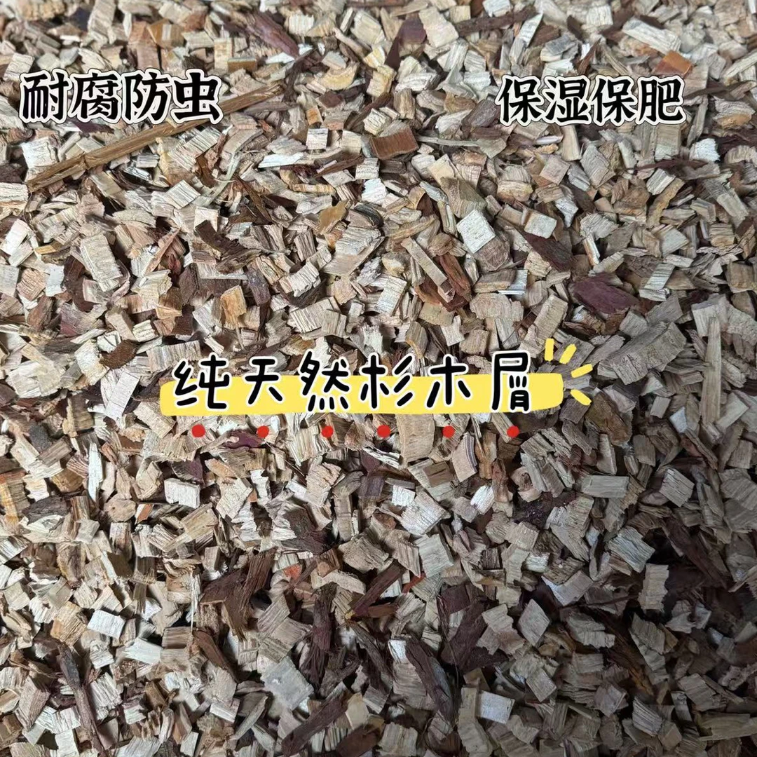 杉木屑细颗粒石斛兰花专用杉木新植料木屑杉木透气保湿