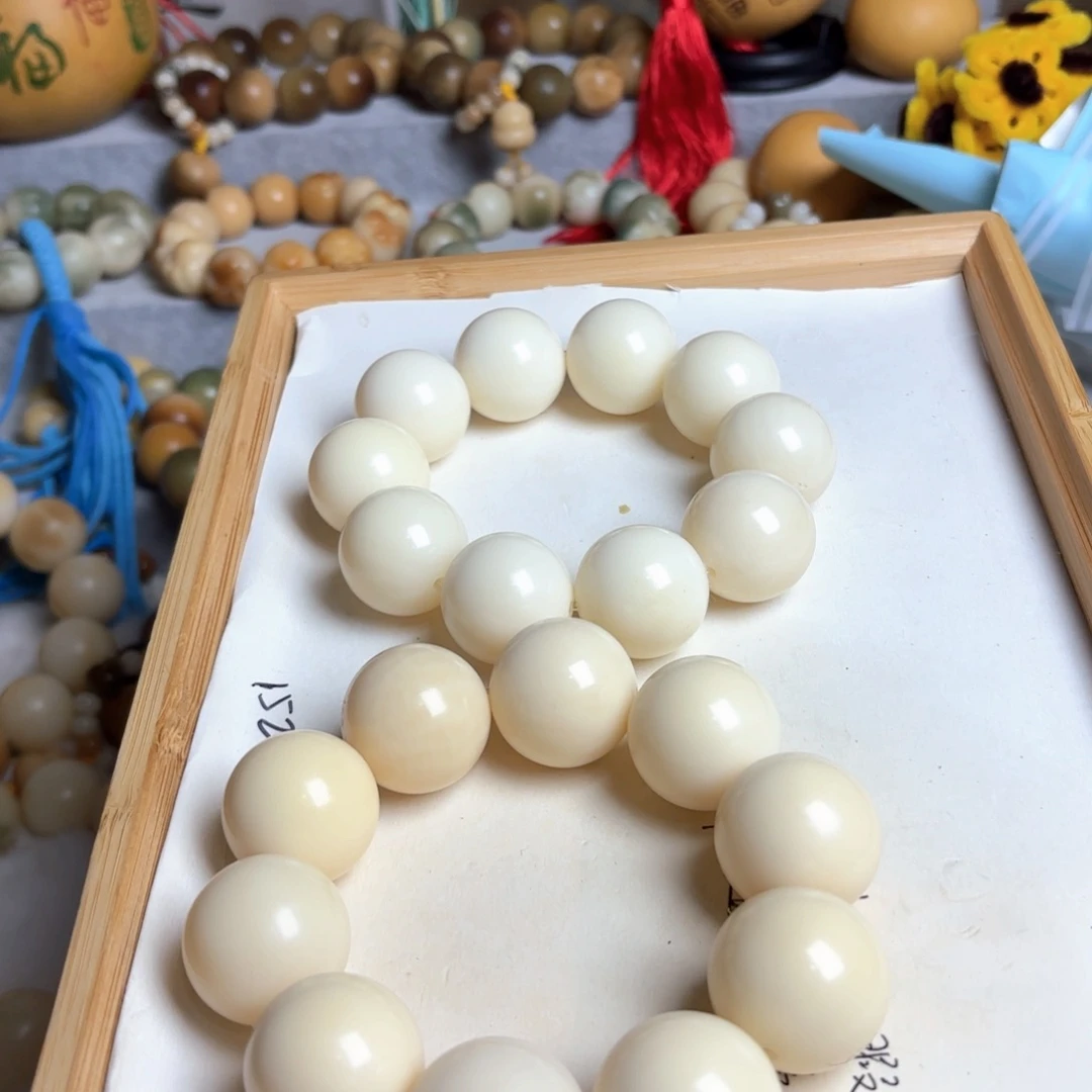 菩提根/象牙果手串卡26大白