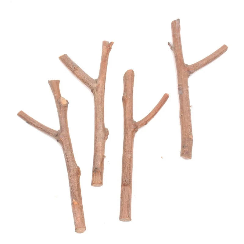 小树子，手工制作dly，户外树枝