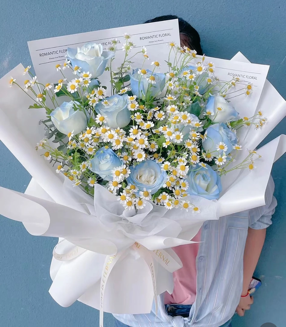 【碎冰蓝】11朵碎冰蓝洋甘菊
