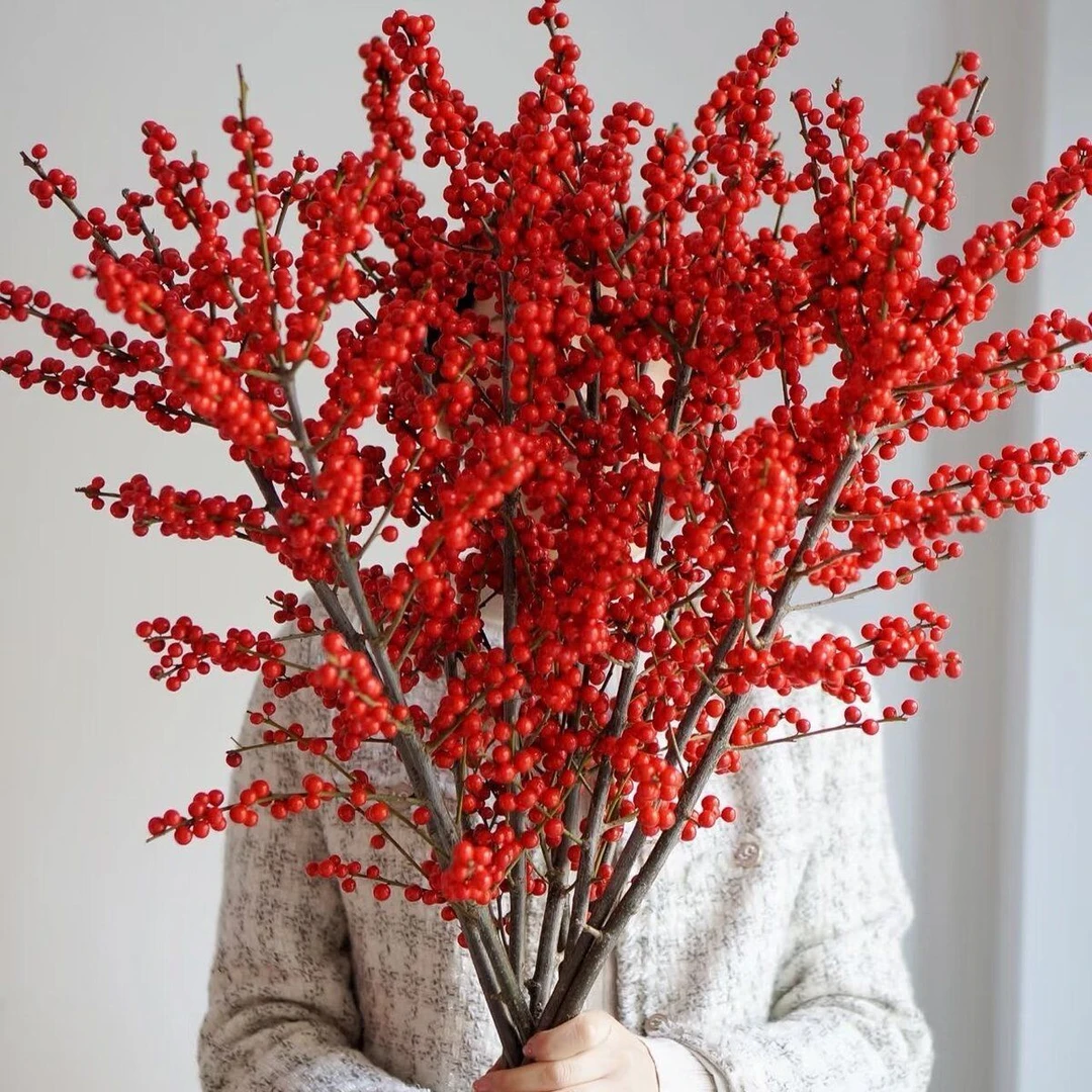 【5枝 北美冬青】年宵花鲜花中式玄关客厅书房新年真花真果水培耐寒