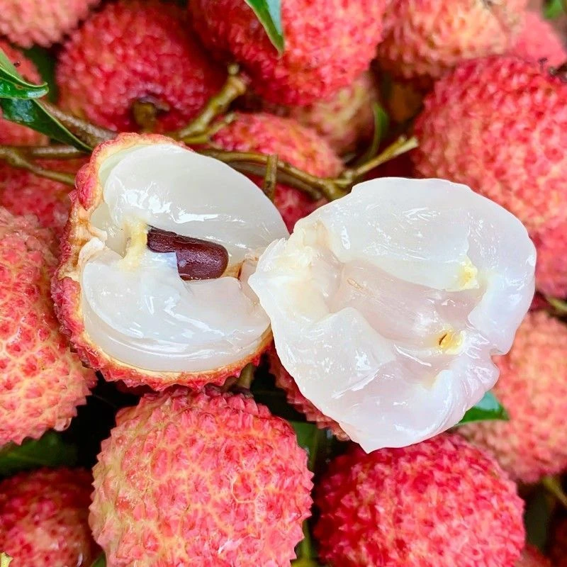 广西灵山桂味荔枝新鲜采摘皮薄爆甜非白糖罂妃子笑荔枝(冷链发货)