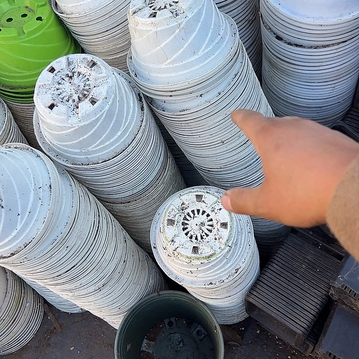 白色螺纹盆口径17高9发35个