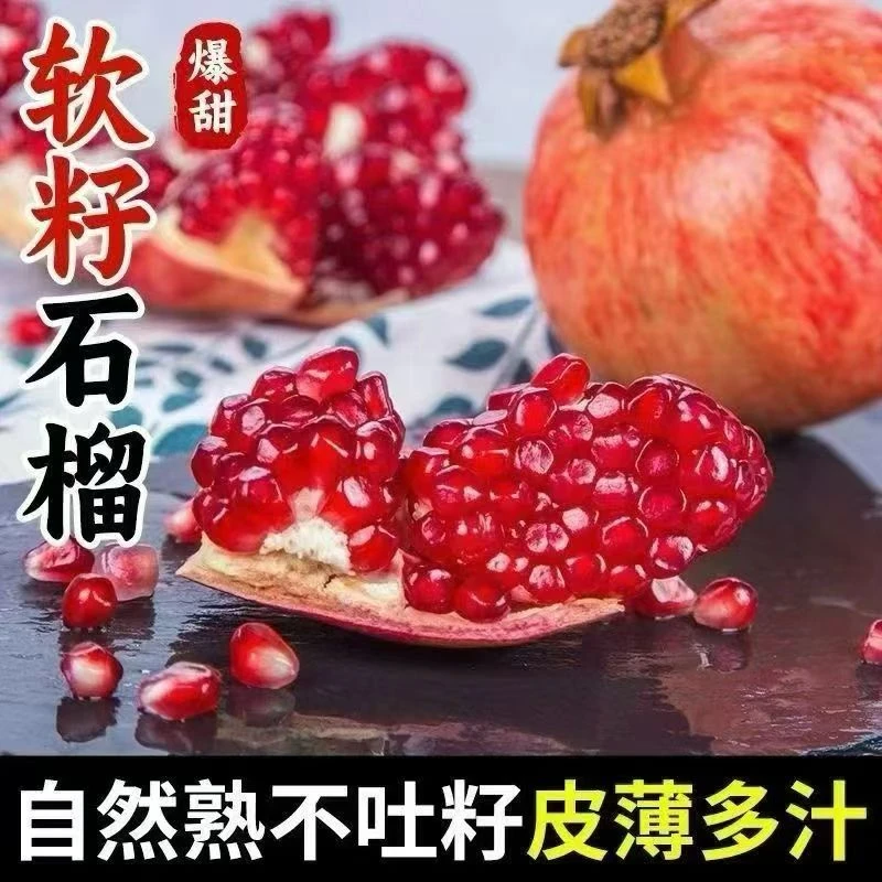 四川会理突尼斯软籽石榴正宗新鲜当季水果鲜甜多汁现摘现发整箱