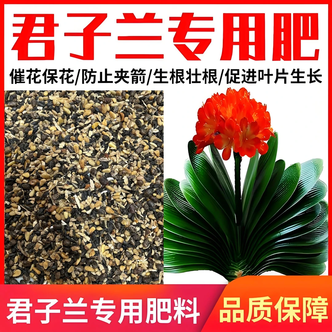 君子兰专用营养颗粒基质促开花油料作物松仁蓖麻子油葵小麻子