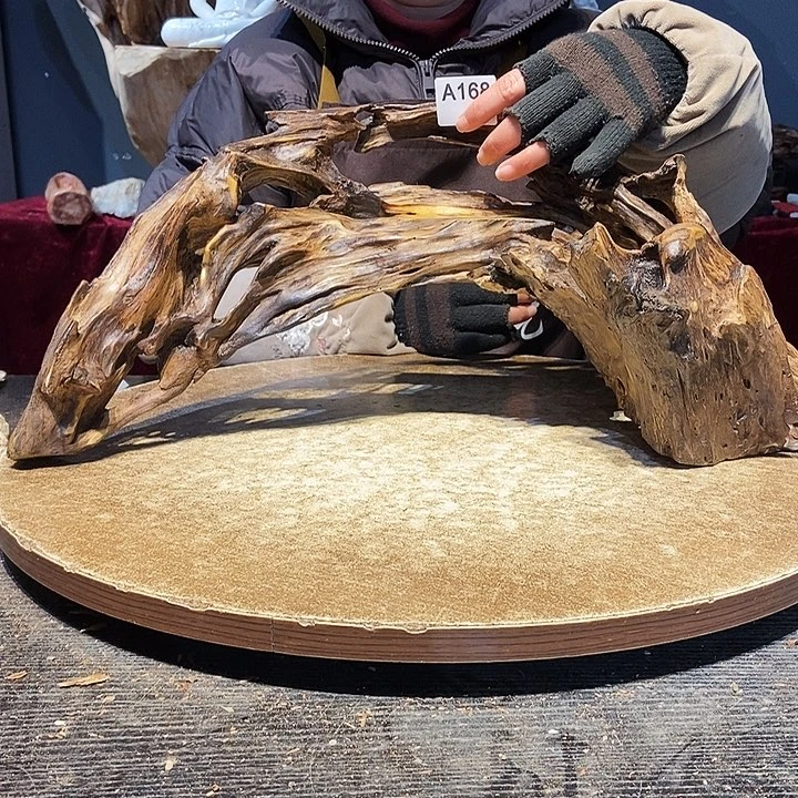 龟**168株木随行的小根艺的