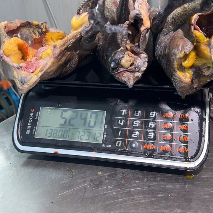 一号母鸡食用农产品中国大陆u****5