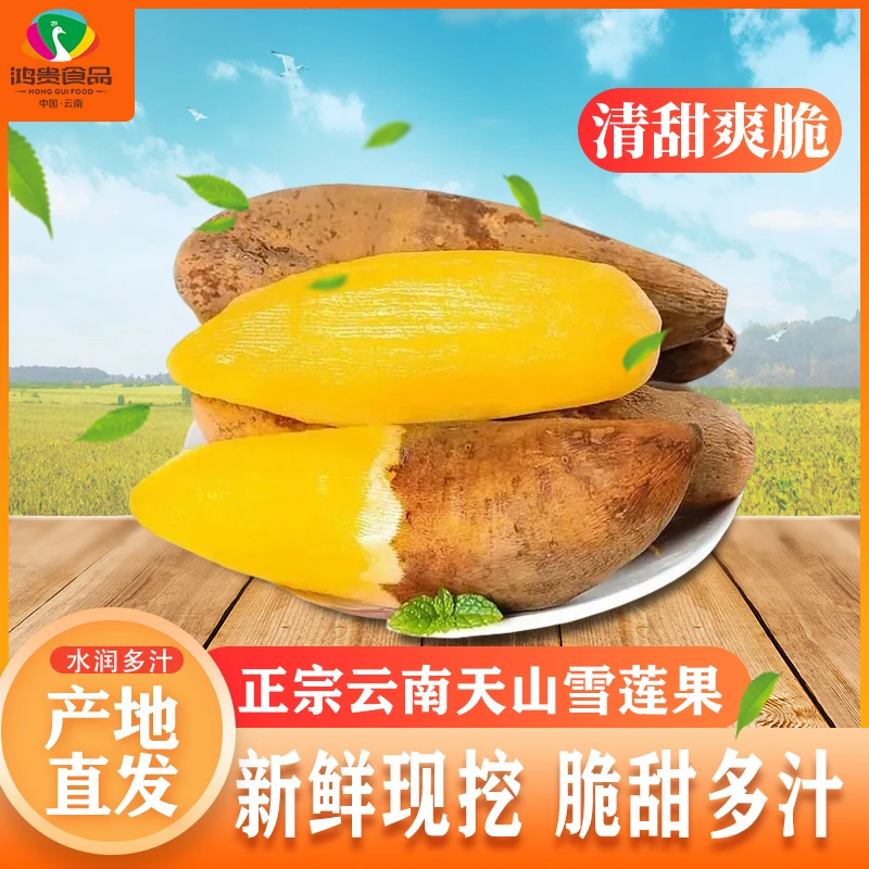 云南天山雪莲果正宗黄果新鲜低糖现挖现发产地直发坏果包赔高品质