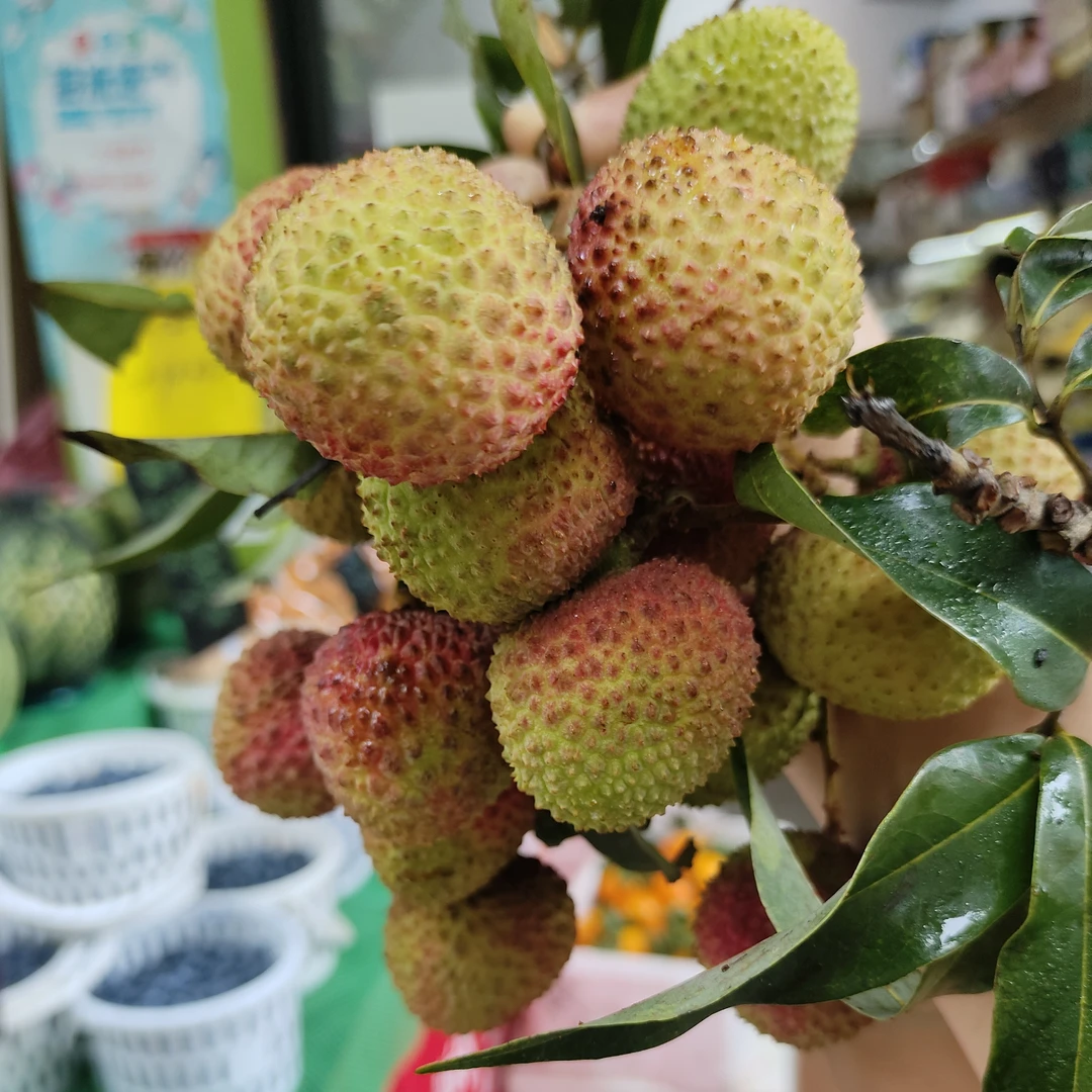 【荔枝】精品新鲜荔枝500克同城送荔枝同城送荔枝同城送海南省