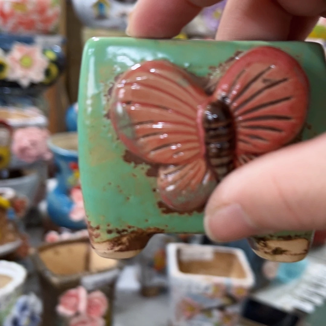 【闪购商品】红陶福利