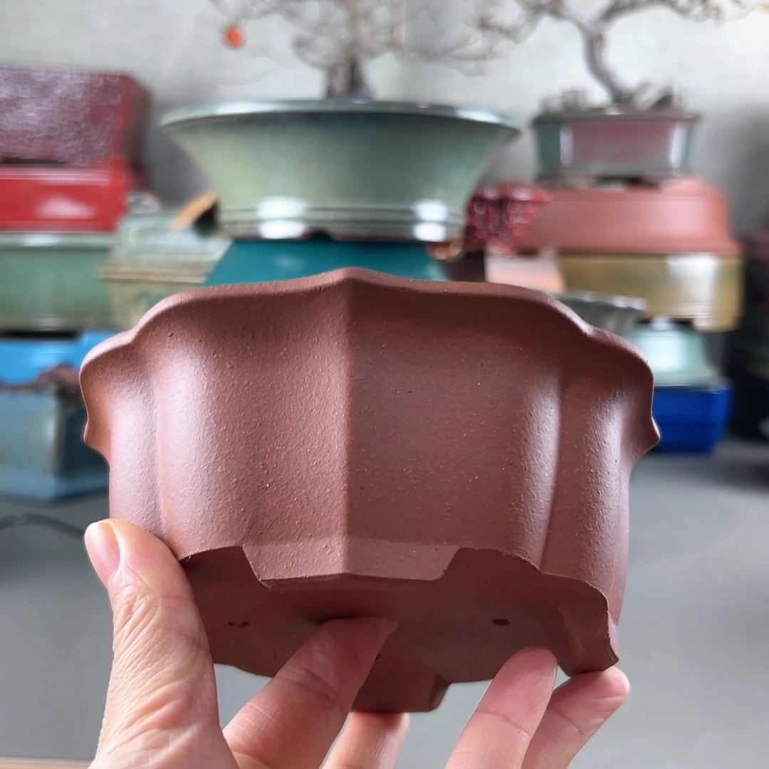 紫砂盆子一只14.5*6