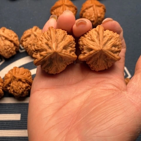 橄榄核手串/手链文山37全品