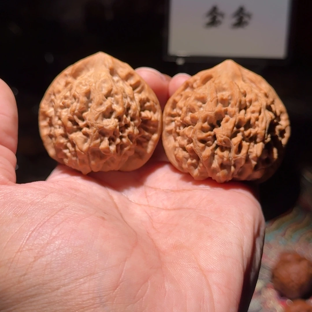 把件核桃123官帽，尺寸49