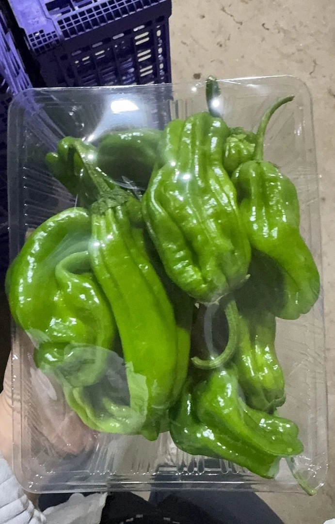 青椒（份）330-350g