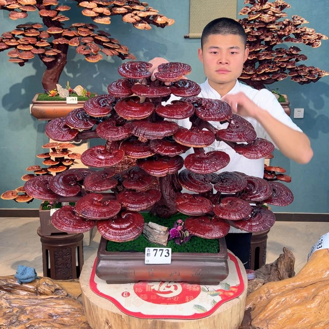 无花朵8888888888888