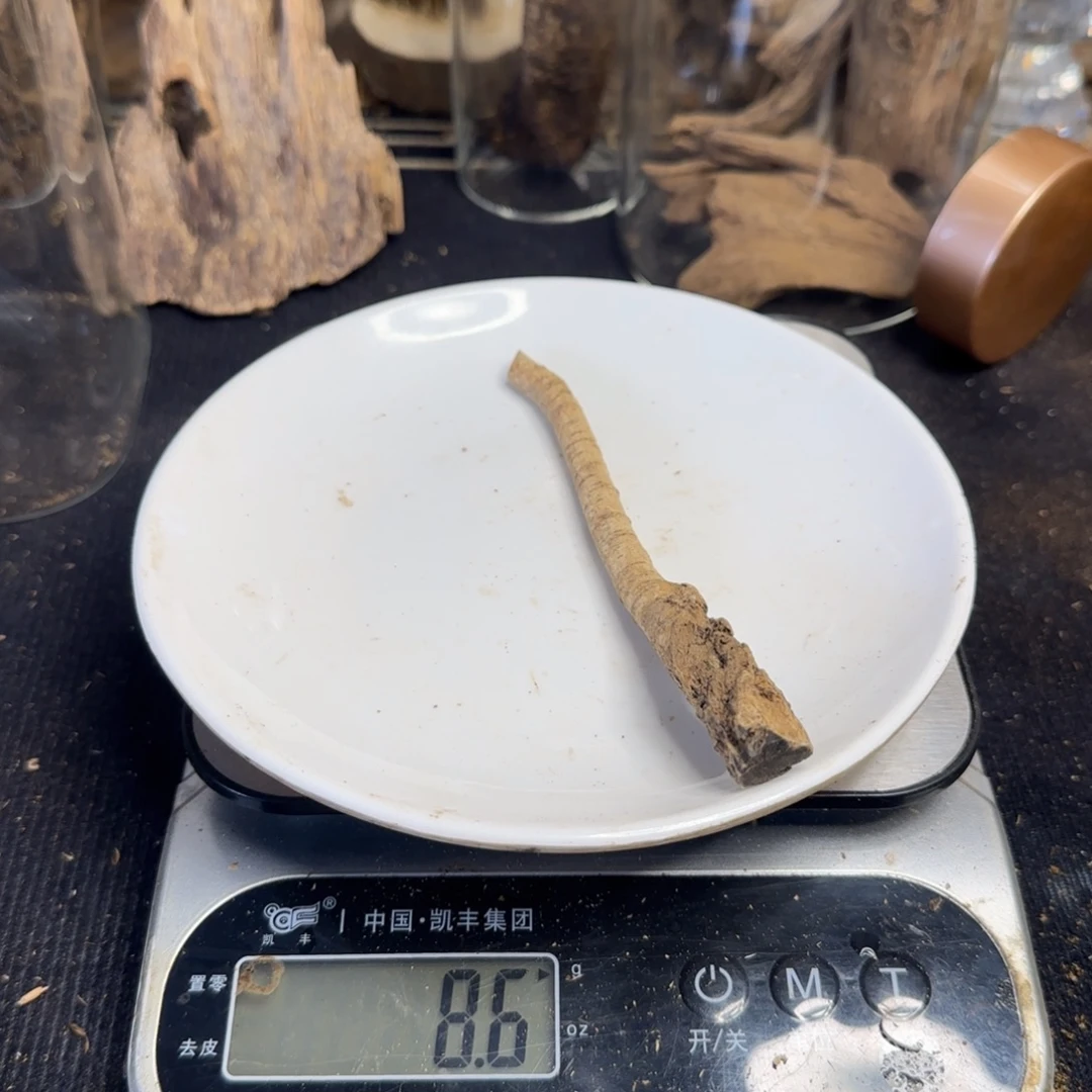 沉香沉香碎屑海南天然野生原母树8