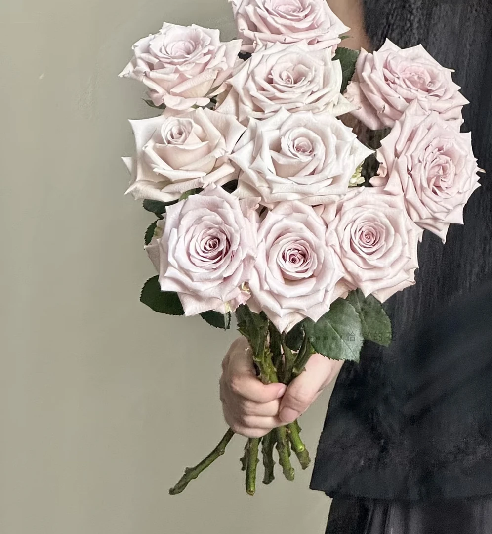 「曼曼」曼塔15只➕5只防损  鲜花任意满两单包邮拒收不售后