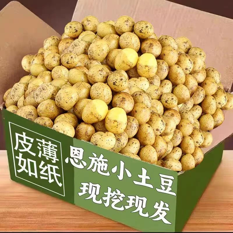 恩施马尔科小土豆自种马铃薯农家生态3斤5斤9斤产地现挖土豆新鲜