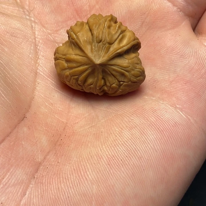 文玩核桃吊坠中****亮文玩核桃异形单只