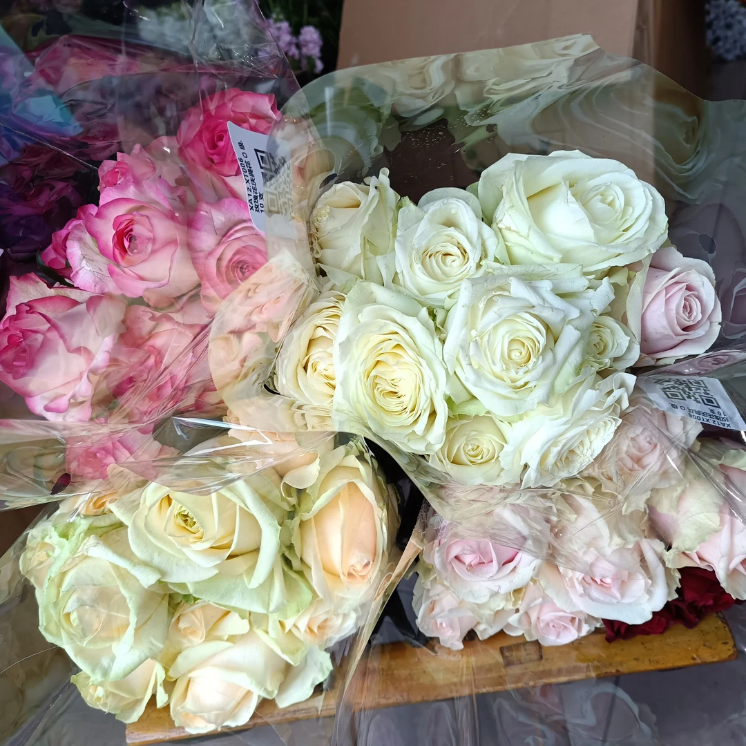 彩色玫瑰9.9一扎下单到店自提