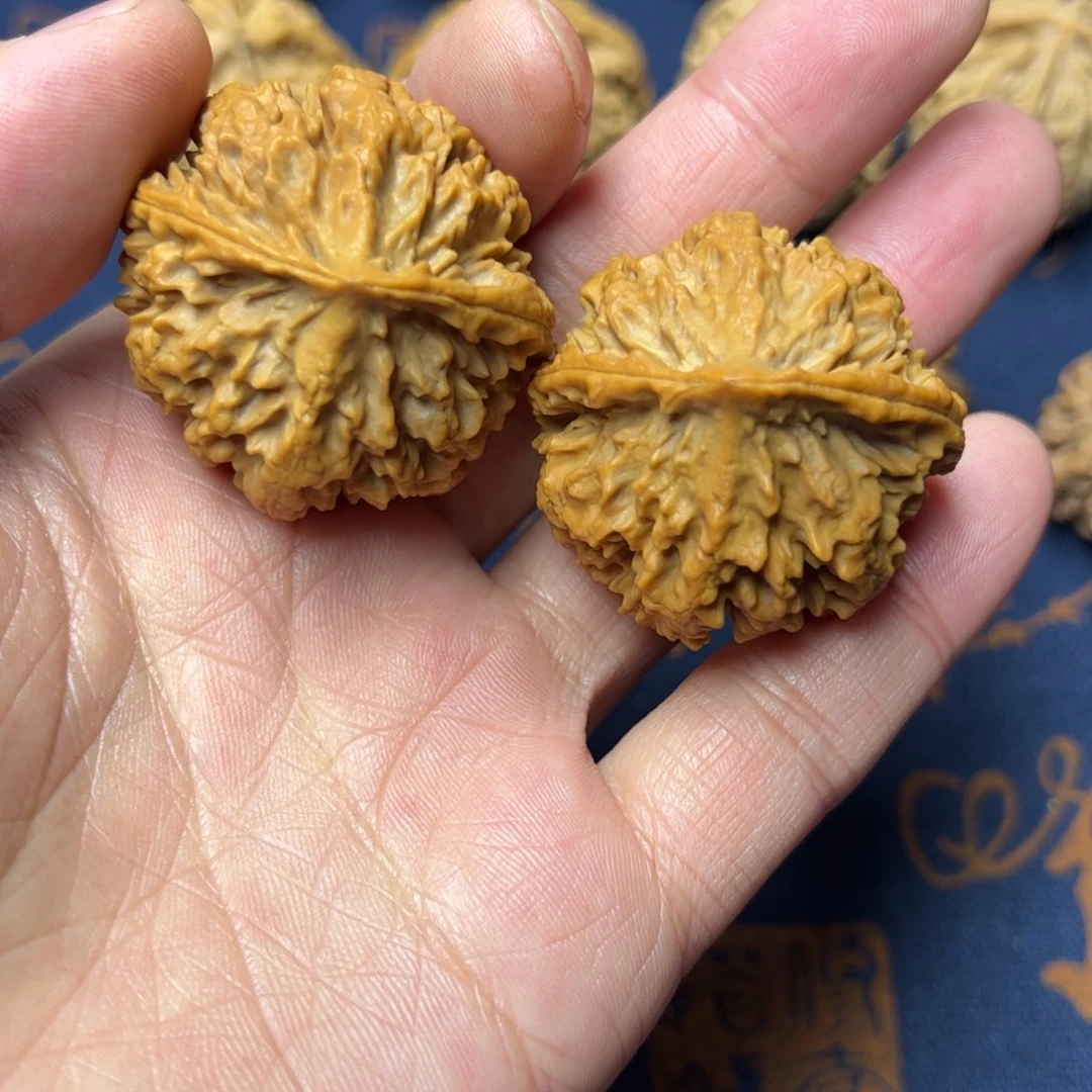 文玩核桃把件秦岭野生植物核桃