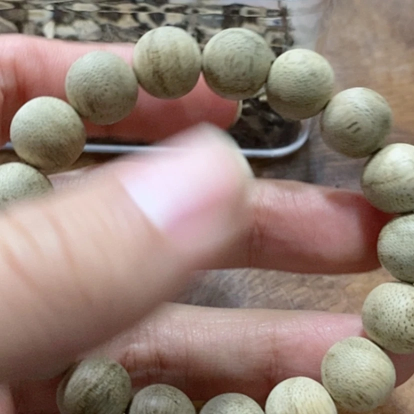 【闪购商品】东马1.2/珠珠一条（福利07