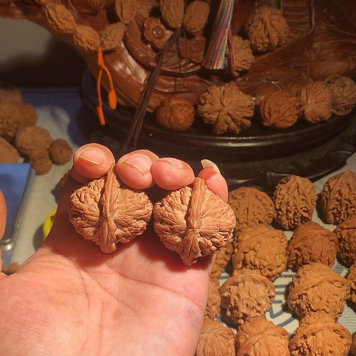姓***徐把件文玩核桃白狮子