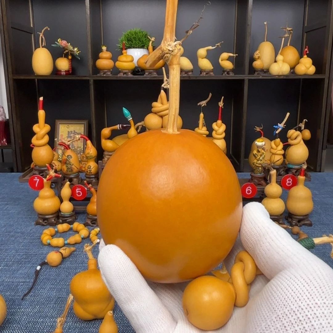 c***t直播间专用 一物一物