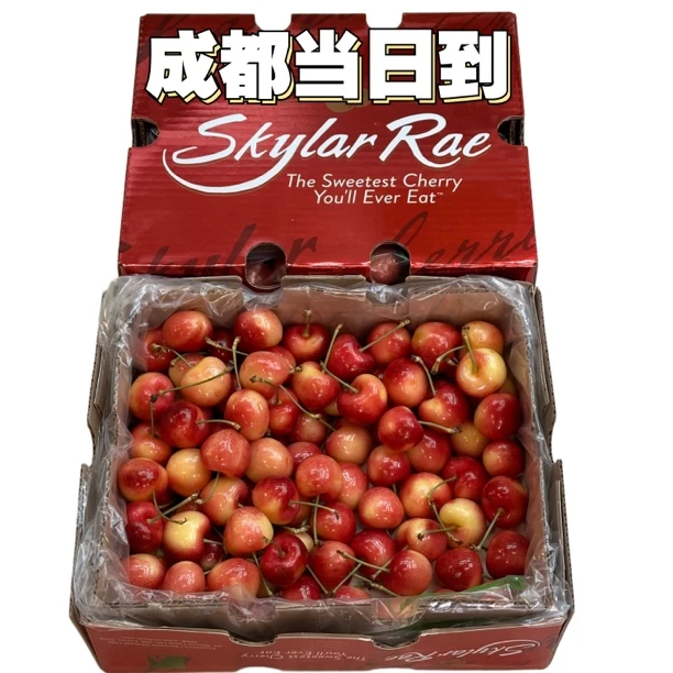 智利2J3J4J空运斯凯拉雷SkylarRae黄金车厘子原装4斤内附果径卡