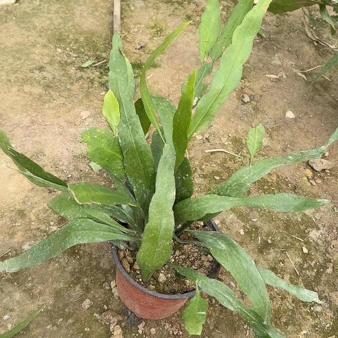 哈哈哈哈哈哈哈哈哈哈哈哈