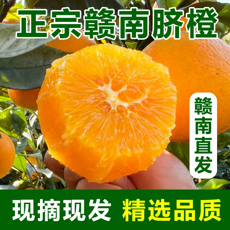【10斤中果】江西赣南脐橙寻乌产地直发当季水果整箱包邮