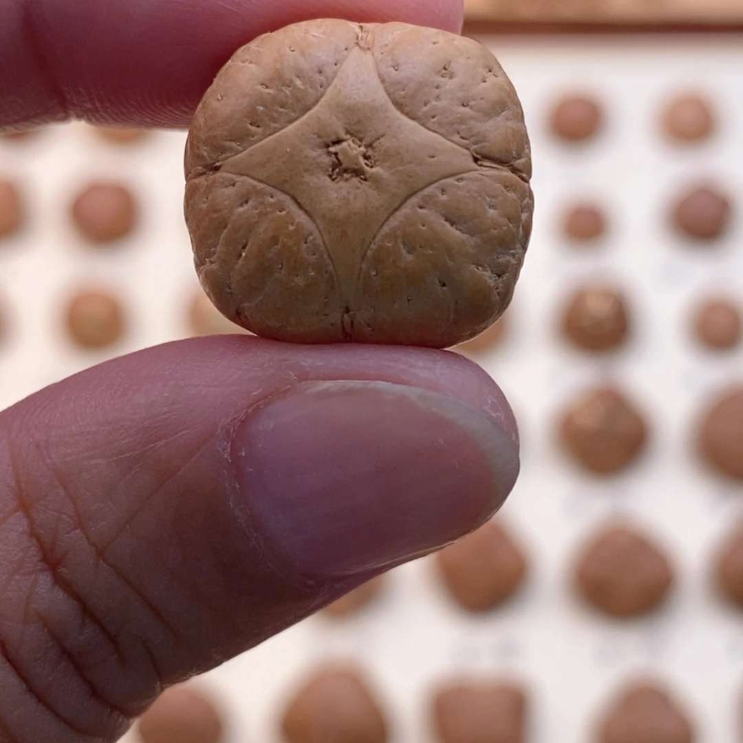 龙眼菩提吊坠小*哥麒麟