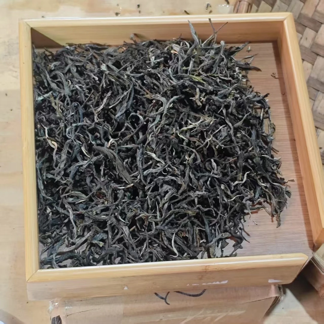 2024年小户赛红土地大树普洱生散茶2月21日（36号茶农）
