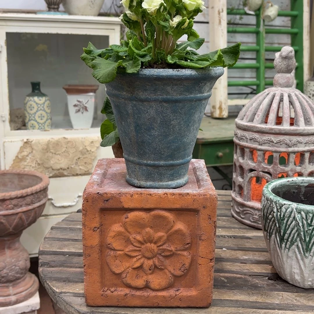 许纯的花房 蓝色简约盆