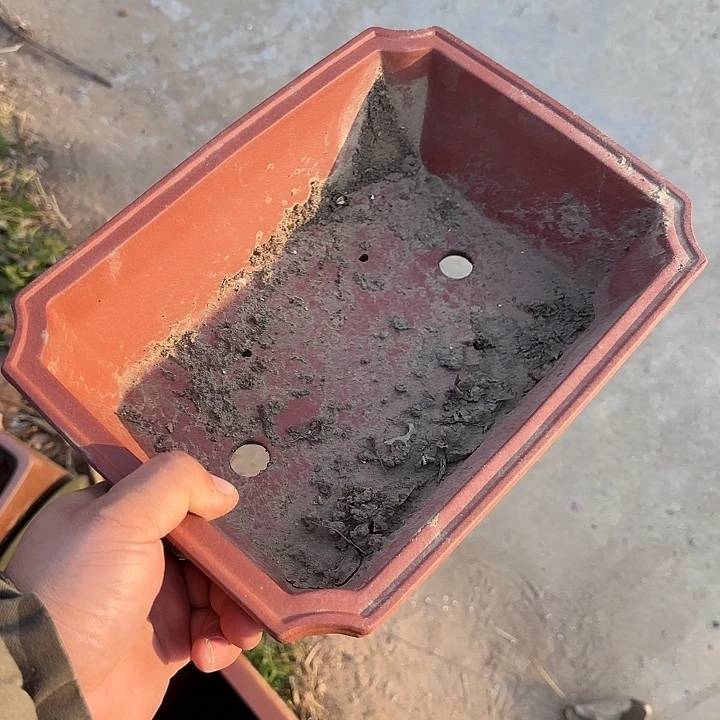 是的呀哈哈是这样哈哈好开心哦是真的非常期待