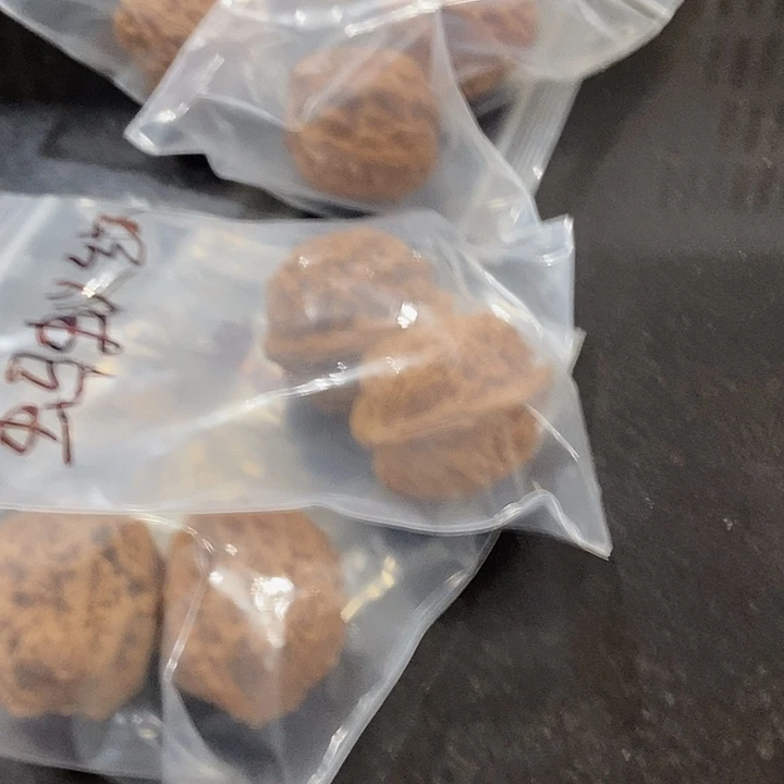 吊坠文玩核桃蚂蚁纹