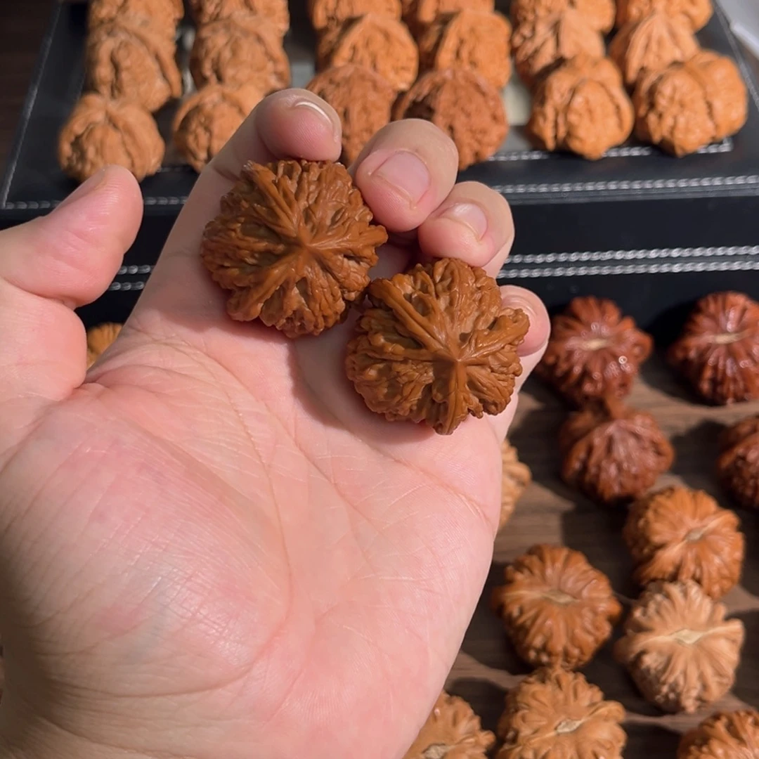 核桃手串/手链37回血文山三棱