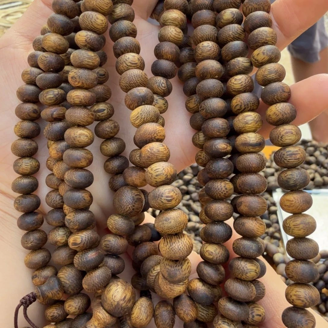 陆河09虫漏多圈多样性发货一条