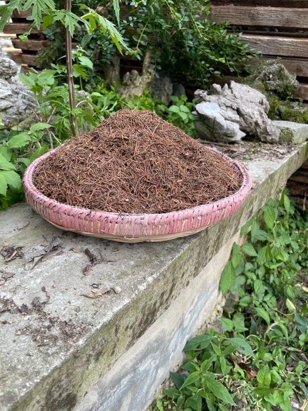 发酵落叶松针通用型花卉土壤营养透气适合兰花君子兰