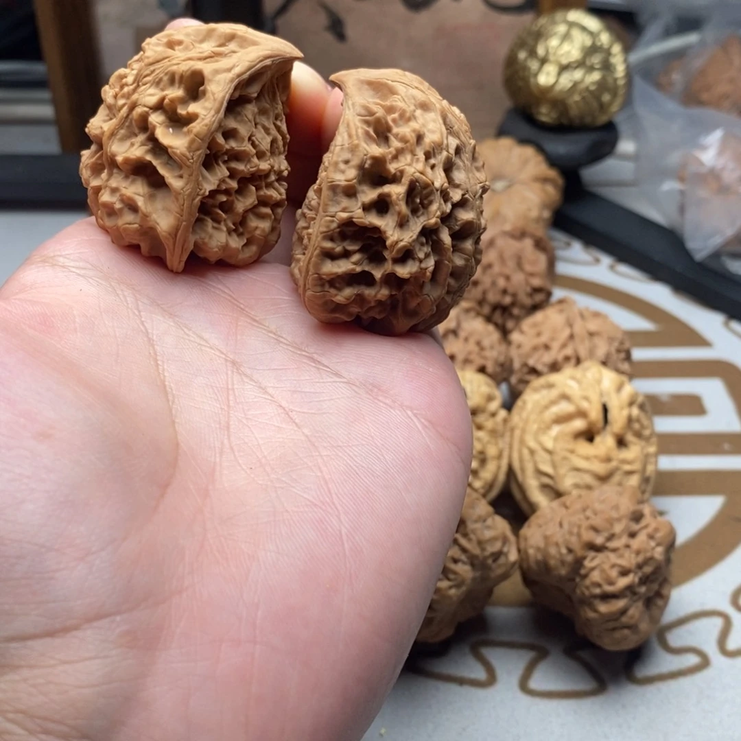 官帽蛇头哈哈哈哈哈哈哈哈41