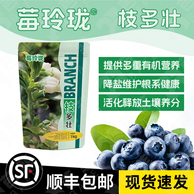 莓玲珑枝多壮水溶赋活根系背上枝多地生枝壮增强生长新枝条壮枝