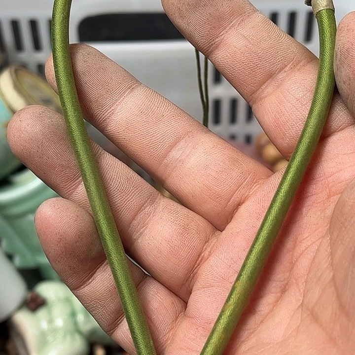 邱***波瓷片瓷片瓷瓷片瓷片