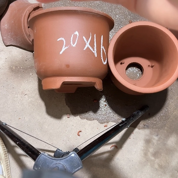 紫砂花盆破损包赔