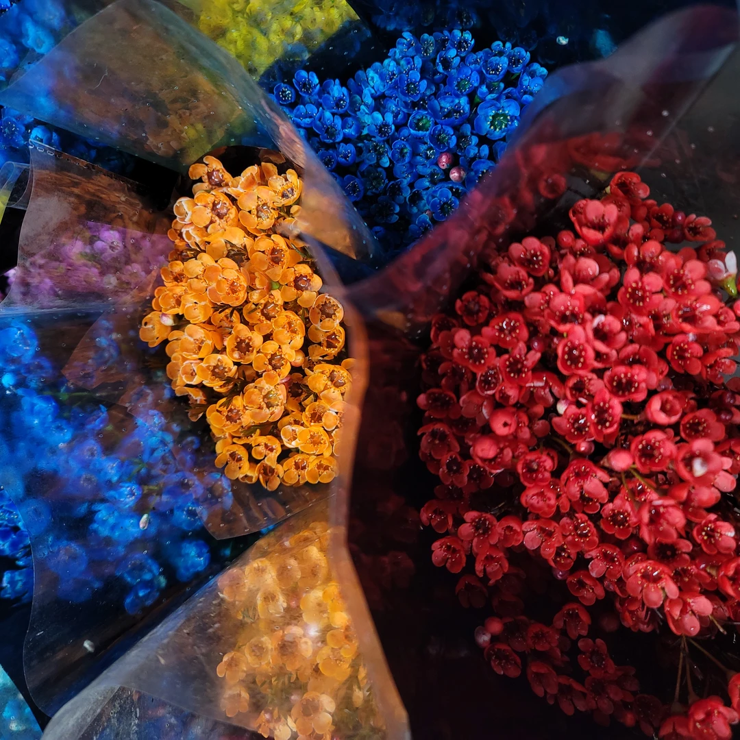 腊梅瓶插花 配送上门