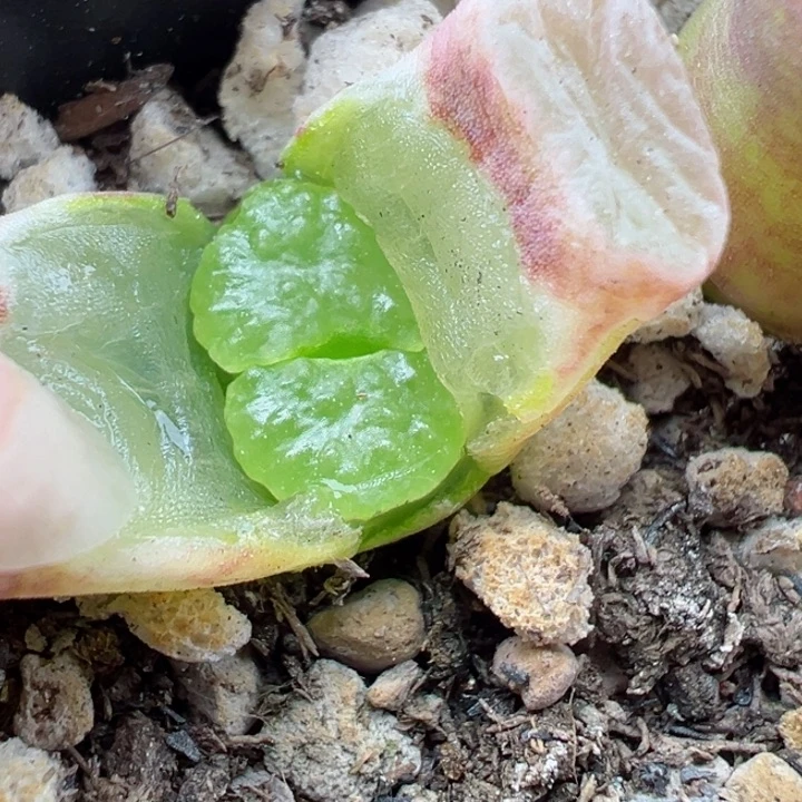 353号，1111111111111