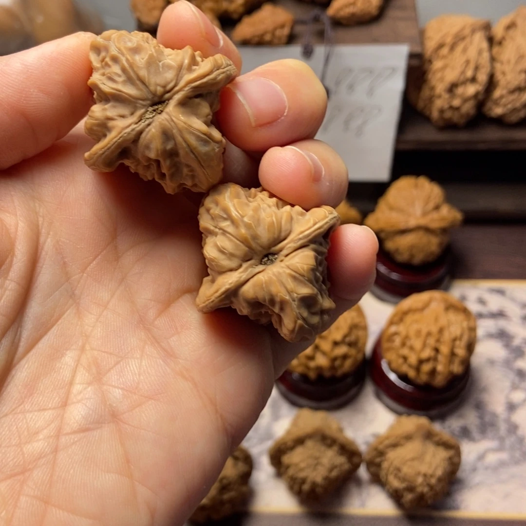 文玩核桃把件全品白蛇骨32.5